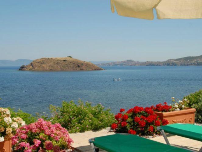 Birds Bay Resort Petra  Zimmer foto